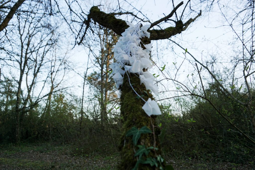 Sculpture en papier calque et ficelle blanche accrochée dans les arbres