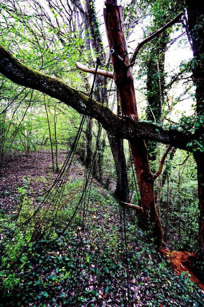 Installation de ficelles en laine noire, avec parfois, ma silhouette, dans la forêt