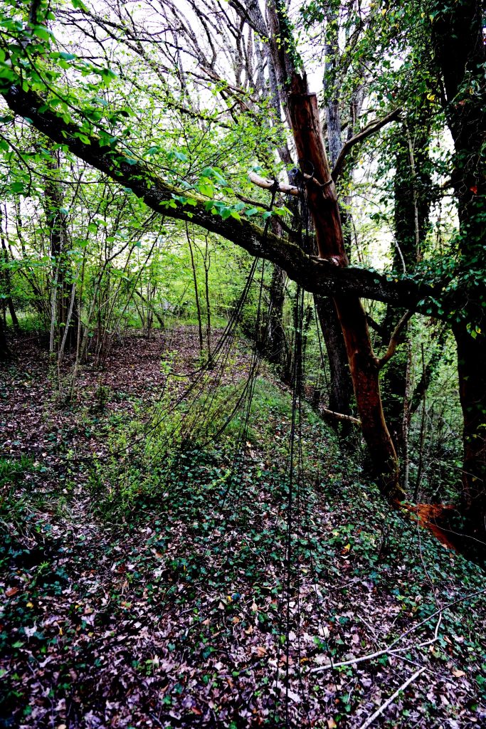 Installation de ficelles en laine noire, avec parfois, ma silhouette, dans la forêt
