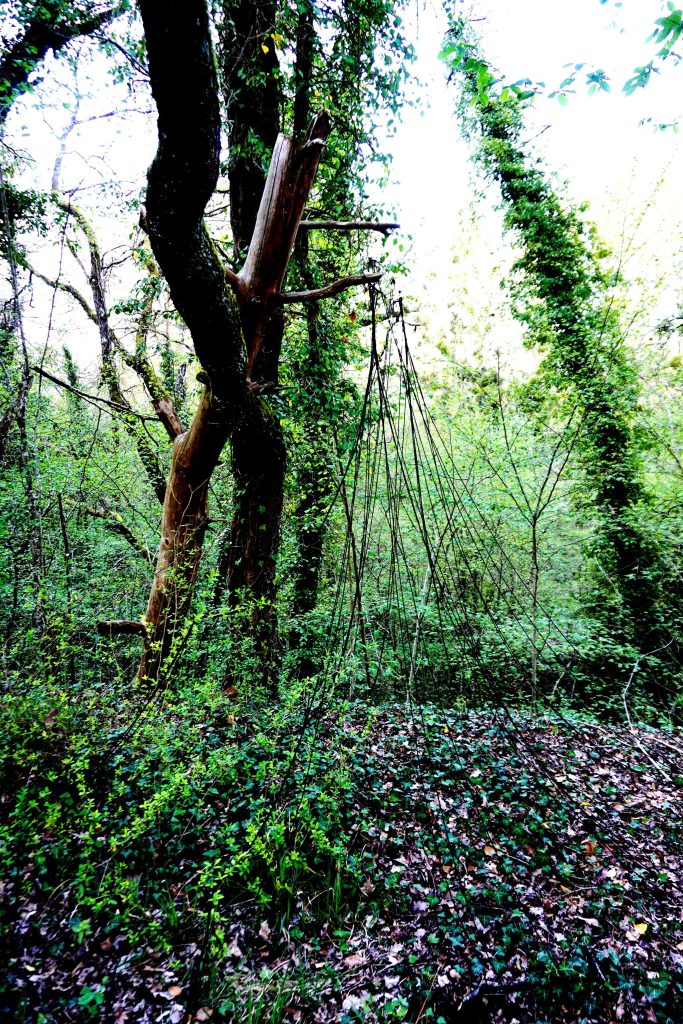 Installation de ficelles en laine noire, avec parfois, ma silhouette, dans la forêt