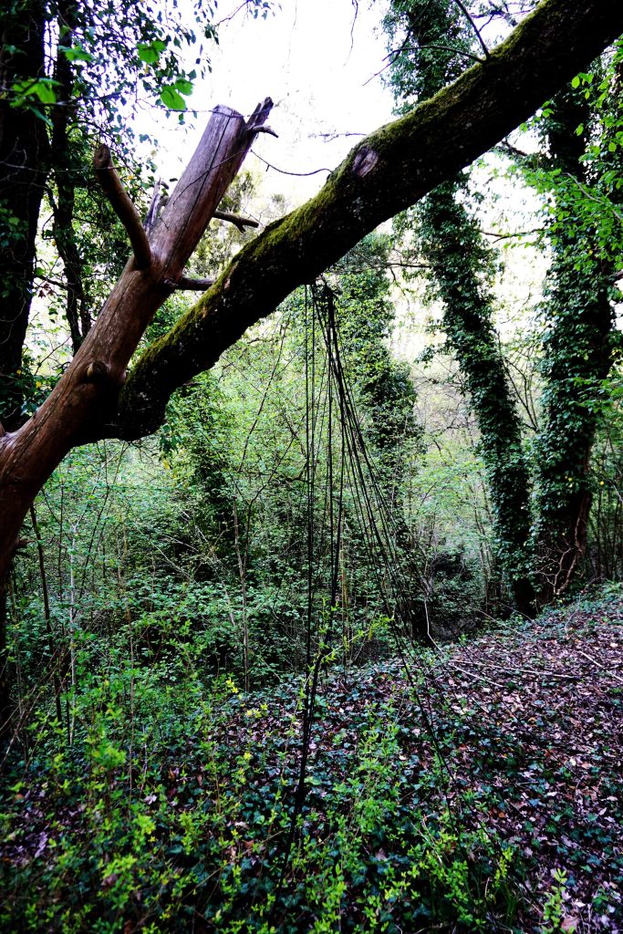 Installation de ficelles en laine noire, avec parfois, ma silhouette, dans la forêt