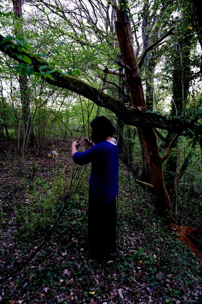 Installation de ficelles en laine noire, avec parfois, ma silhouette, dans la forêt