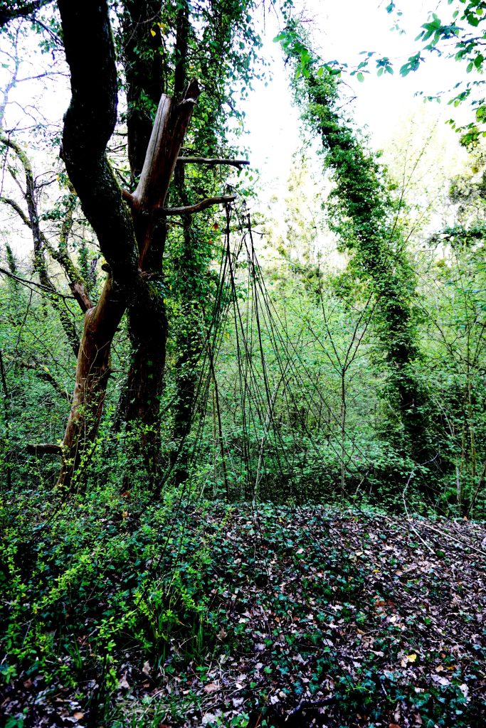 Installation de ficelles en laine noire, avec parfois, ma silhouette, dans la forêt
