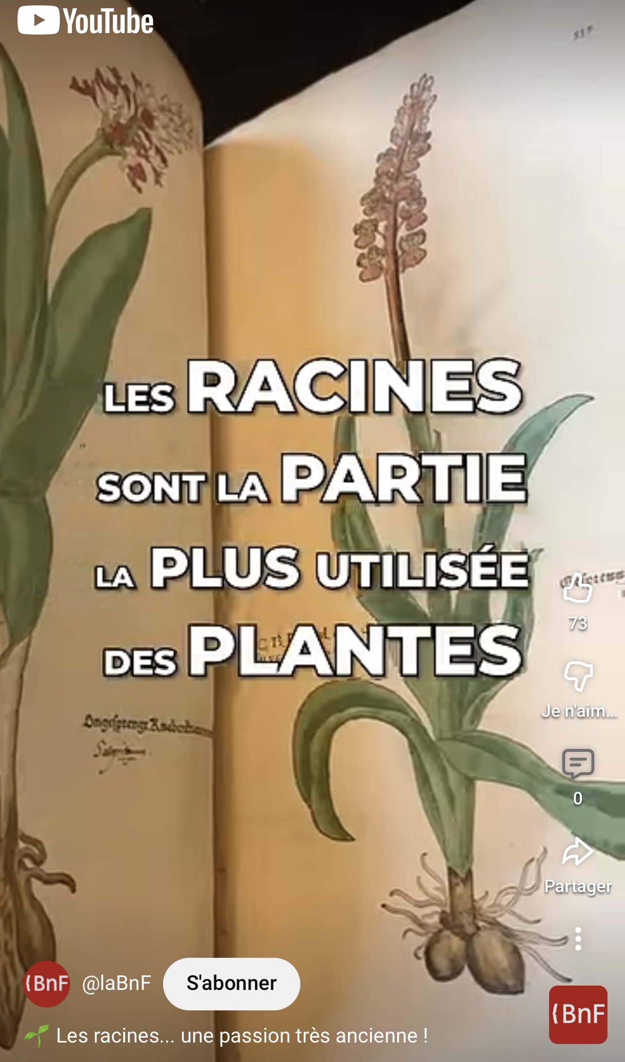 capsule vidéo – Les racines à la BnF, Paris (2026)
