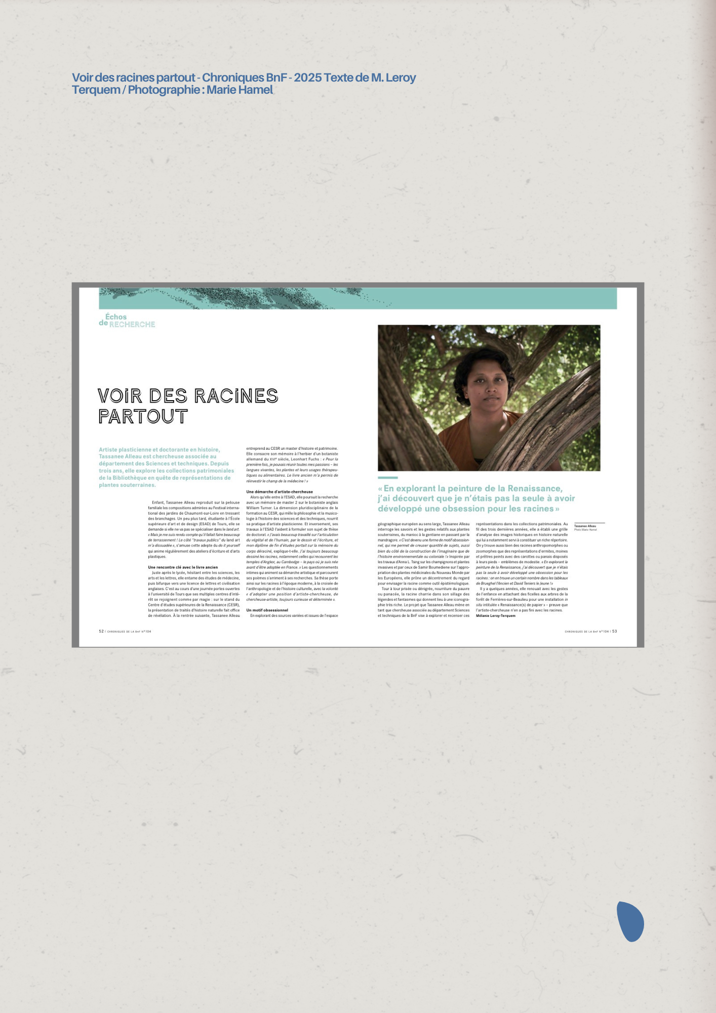 Article « Voir des racines partout » dans Chroniques de la BnF (2025)